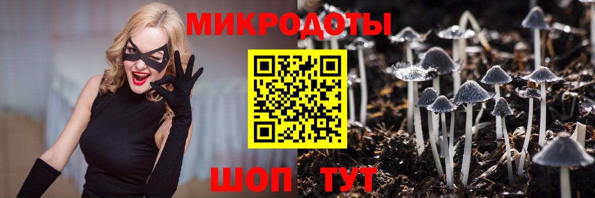 Бор  Псилоцибиновые грибы мухоморы  как найти   Вход с VPN 